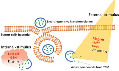 Smart Responsive Nanoformulation for Targeted Delivery of Active Compounds From Traditional Chinese Medicine